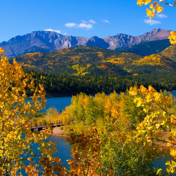 Meet your Posher, Anna - Picture 1 of 1